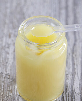 غذاء ملكات النحل -الغذاء الملكي - gelée royale